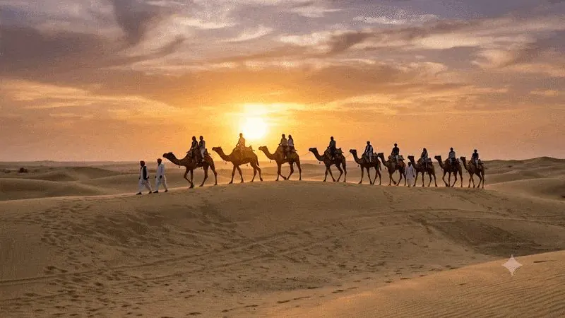 Camel Safari