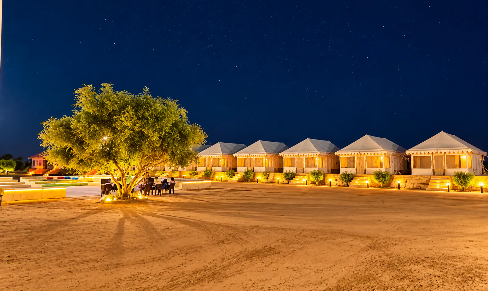 Night Safari